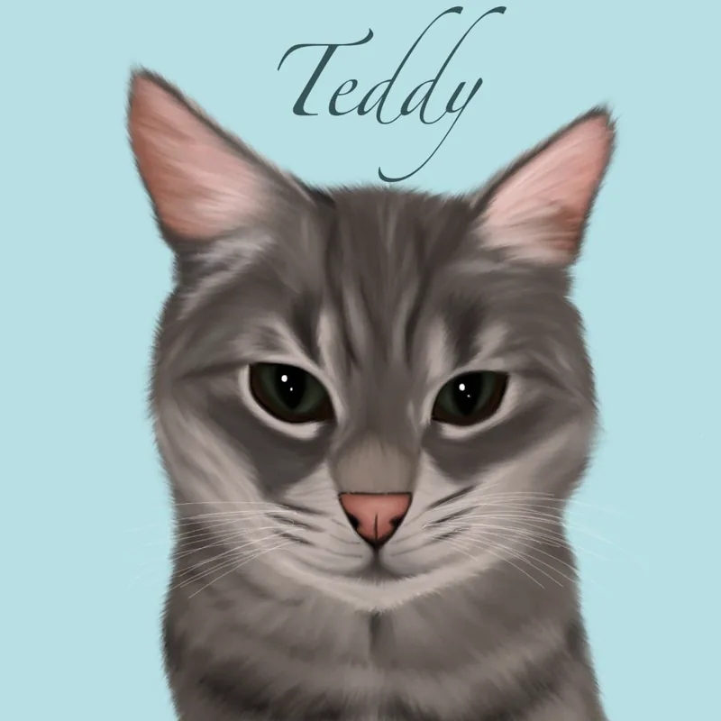 Digital portrait of Teddy, a grey tabby cat, on a pale blue background