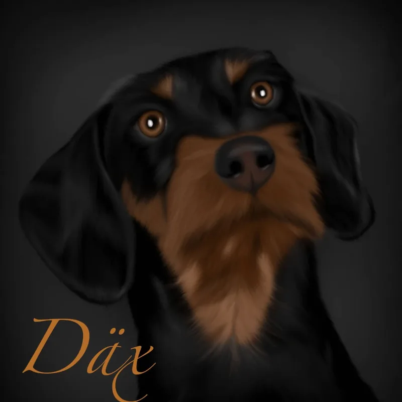 Digital portrait of Däx, a black and tan dog, on a dark background