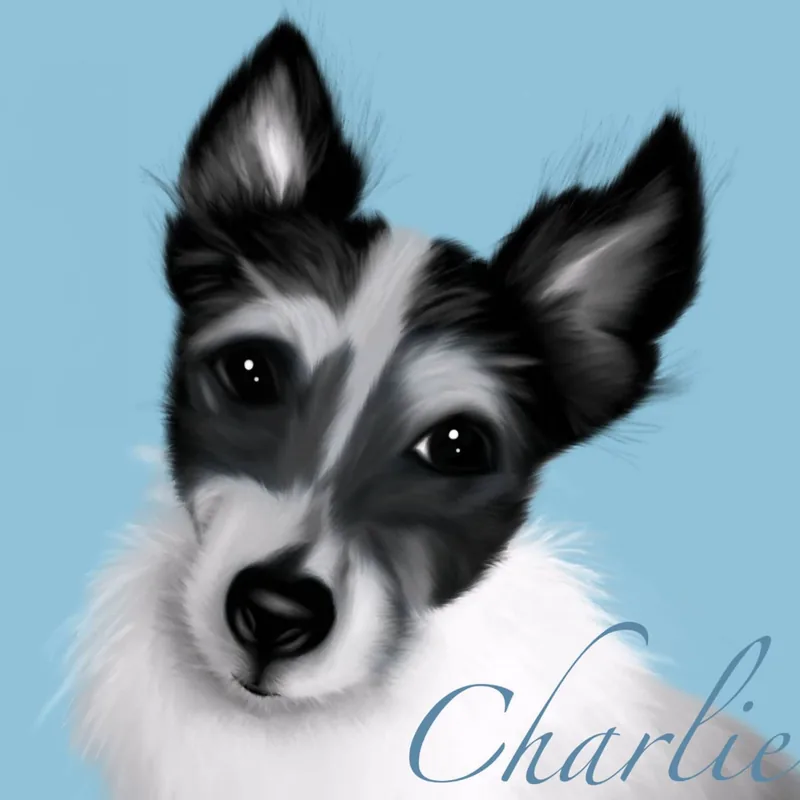 Digital portrait of Charlie, a black and white dog, on a blue background