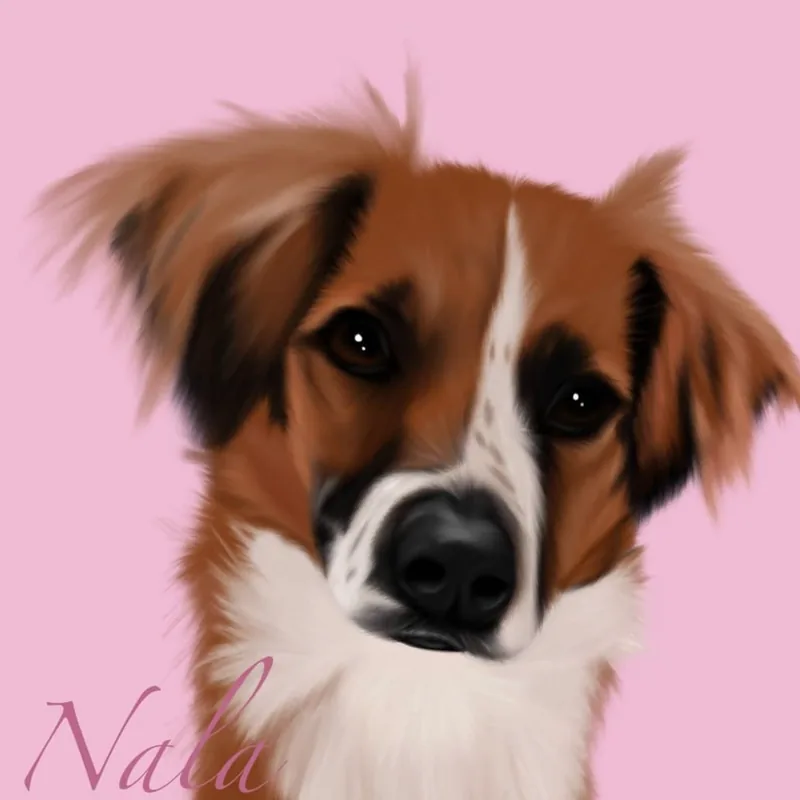 Digital portrait of Nala, a red and white dog, on a pink background