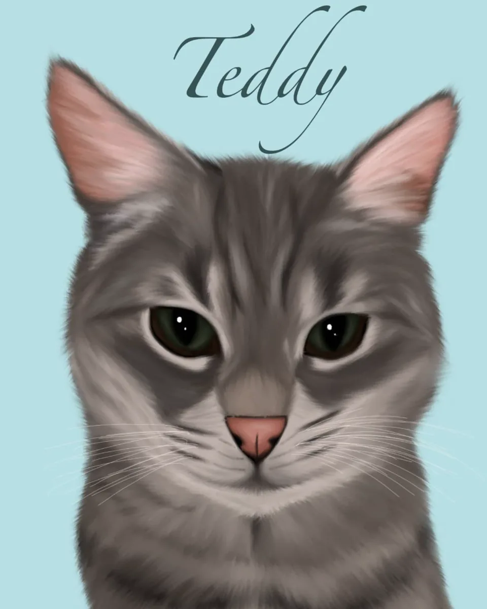Digital portrait of Teddy, a grey tabby cat, by Paddi's Pets